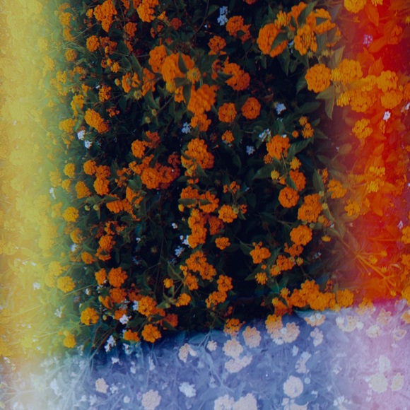 Welcome! - Picture 2 of 8